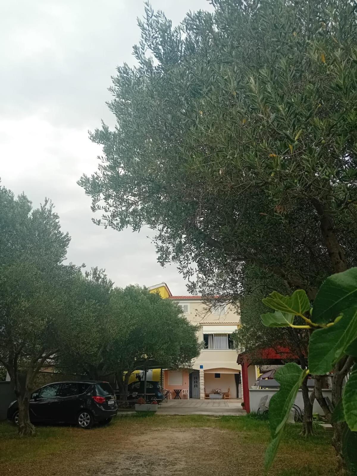 Apartmani A&N Bibinje Buitenkant foto